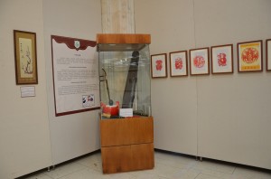 Expozitia Cultura Chineza